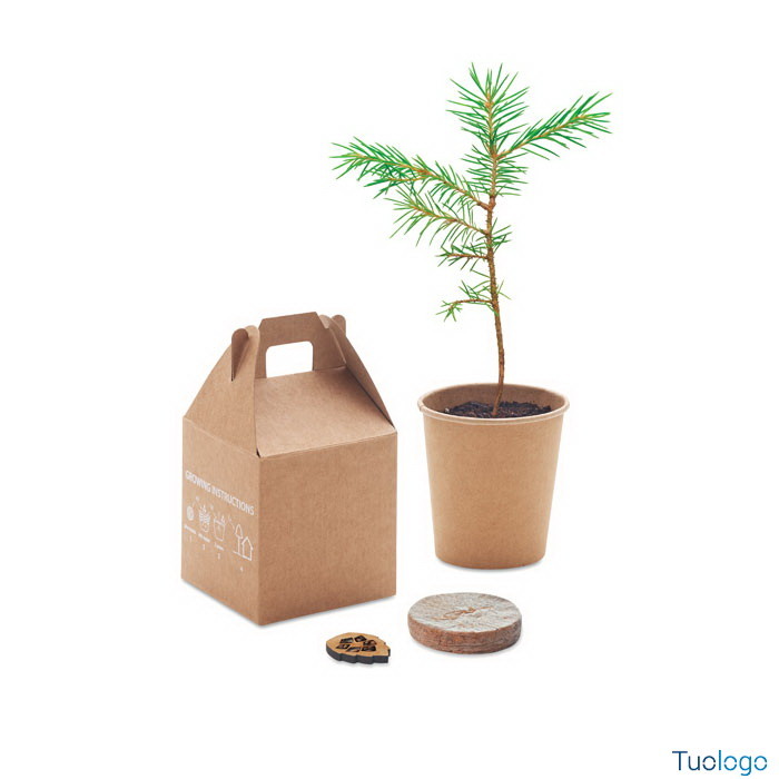 Vaso con pianta e confezione in cartone con semi