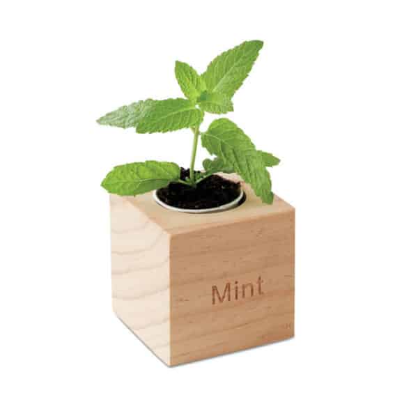 Vaso in legno con pianta di menta