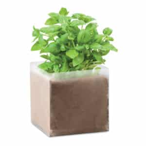 Sacchetto con semi di basilico Cesate