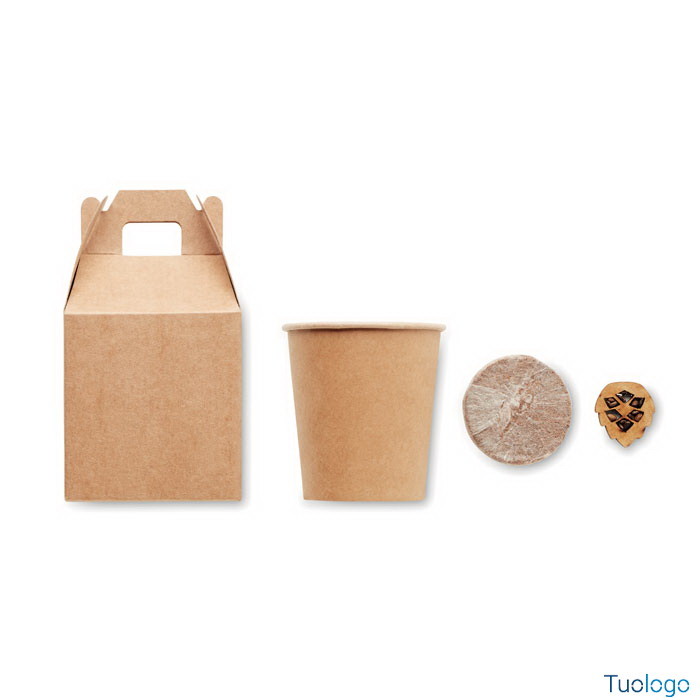 Vaso e confezione in cartone con semi