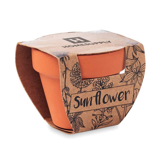 Vaso con confezione in cartone