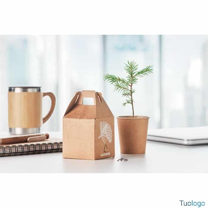 Vaso con pianta e confezione in cartone su un tavolo