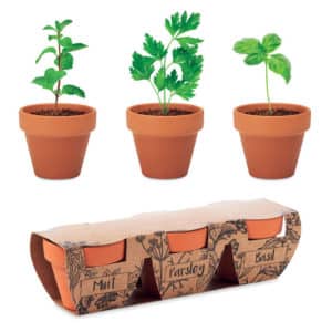Set semi erbe aromatiche Suni