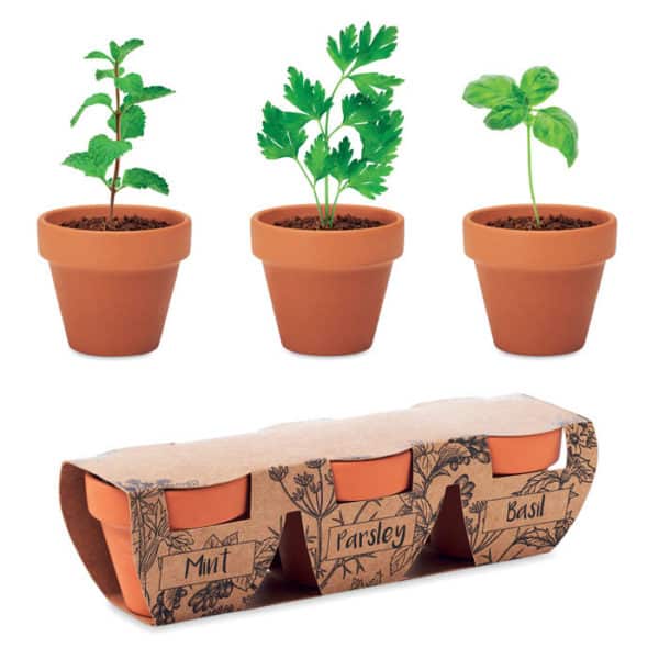 Tre vasi con piante di menta prezzomolo e basilico e tre vasi con le confezioni