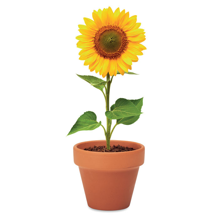 Vaso con fiore di girasole