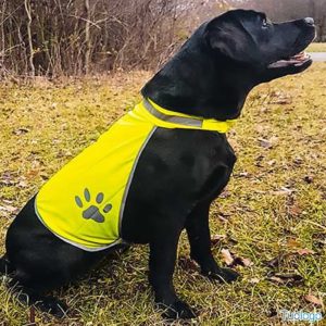 Gilet di sicurezza per cani Maghera