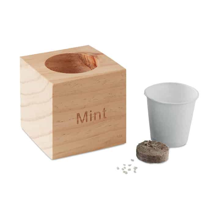 Vaso in legno con recipiente e semi di menta