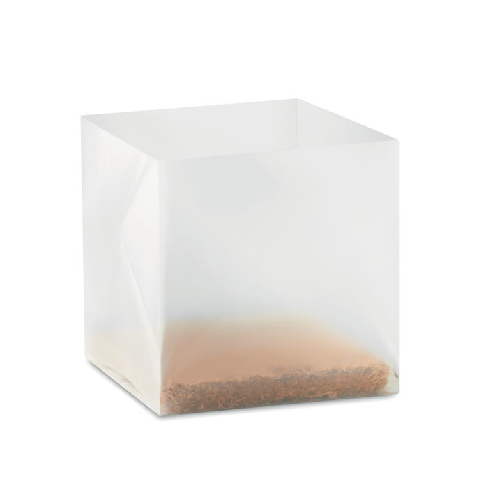 Vaso