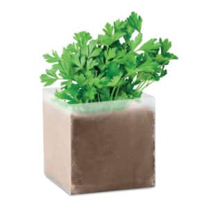 Sacchetto con semi di prezzemolo Corsico