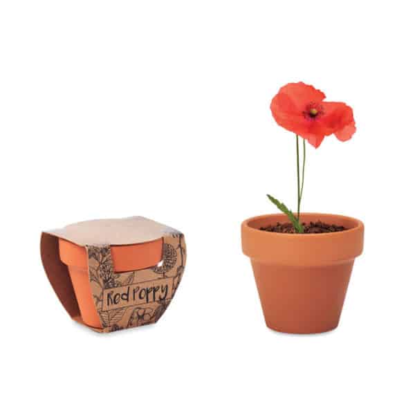 Vaso con fiore rosso e vaso con scatola