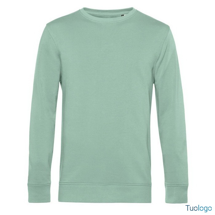 Felpa maniche lunghe grigia su sfondo bianco