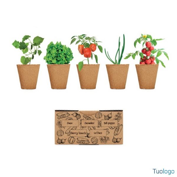 Kit composta da cinque vasetti con semi di pomodorini, lattuga, cetriolo, peperone e cipolla