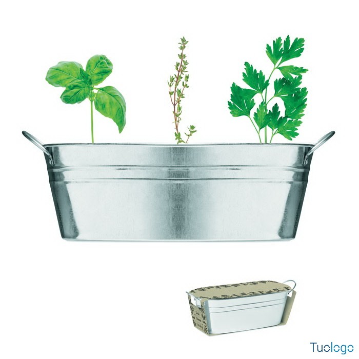 Vaschetta per piante con prezzemolo, timo e basilico
