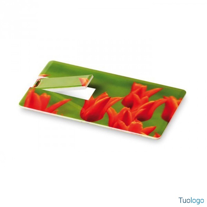 USB Mini Card Memorama