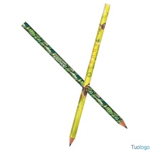Matita Bic Evolution Classic