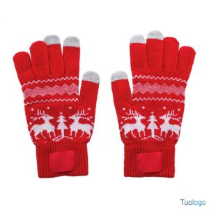 Guanti natalizi Chanan